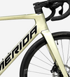 Merida Reacto Rival Edition