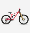 Specialized Status