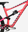 Specialized Status